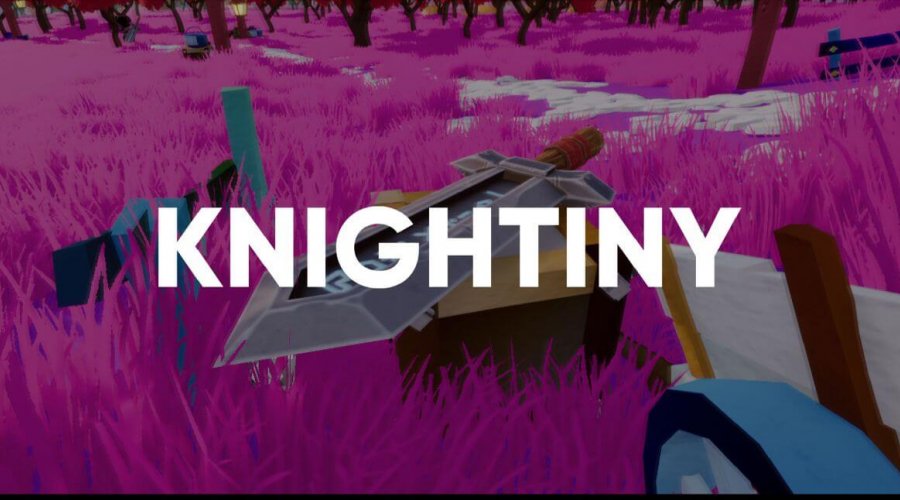 Что лучше NFT или игровые скины в игре Knightiny?