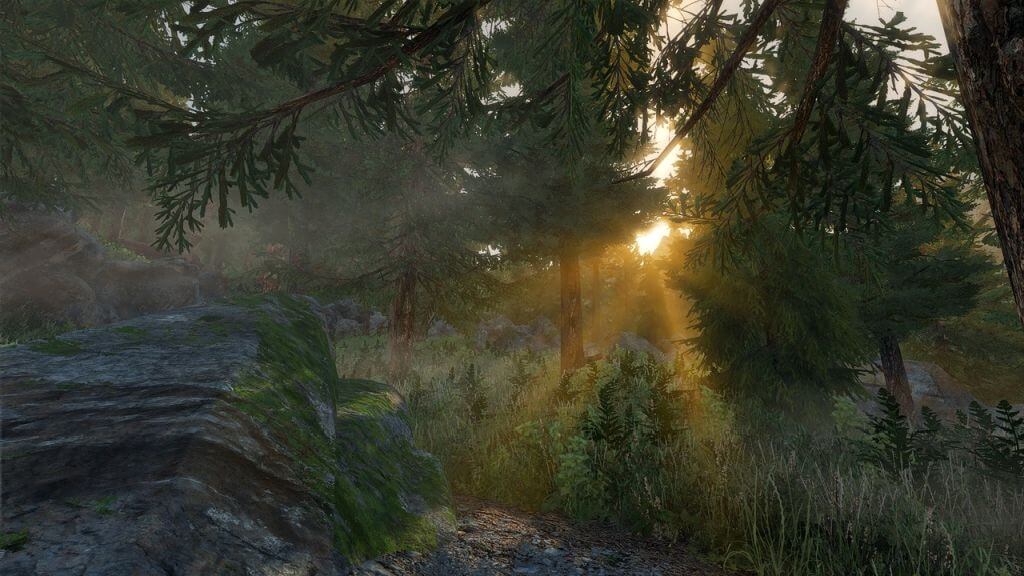 Утренний лес в Skyrim - фото